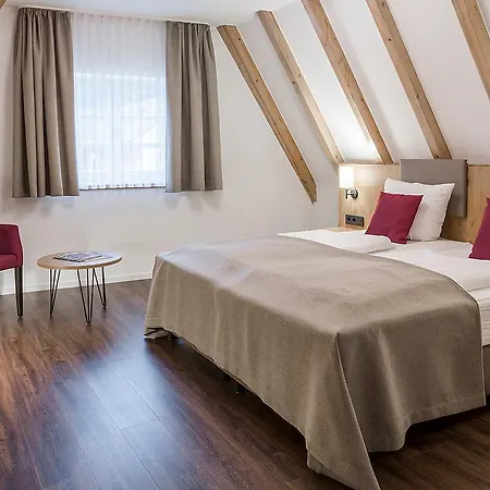 Hotel Hotel&restaurant Lamm Mosbach (Neckar-Odenwald)